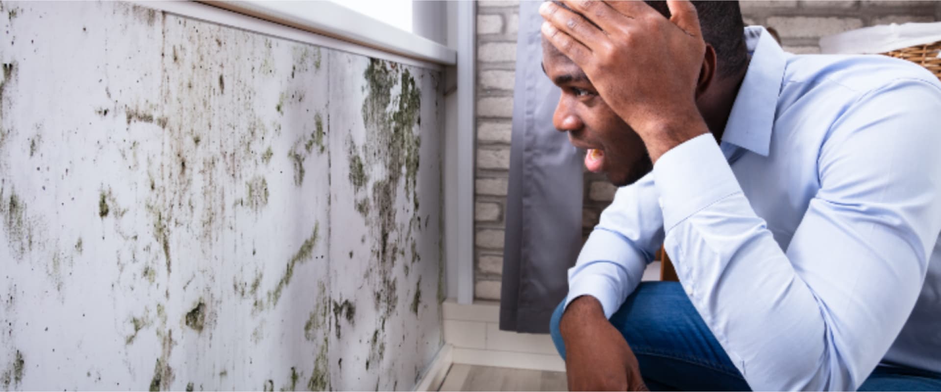 Household Molds Are Linked to Childhood Asthma—Here's What You Can Do